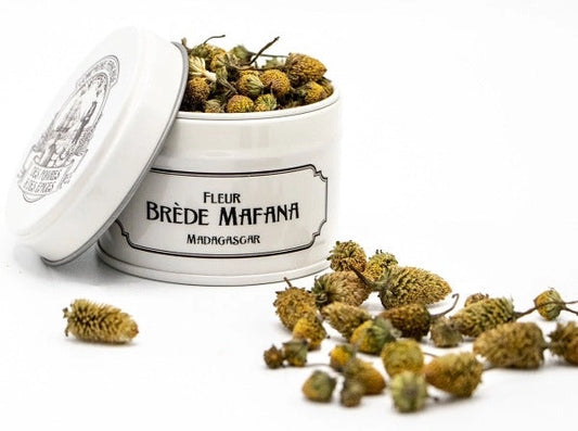 Brede Mafana-blomman 50ml