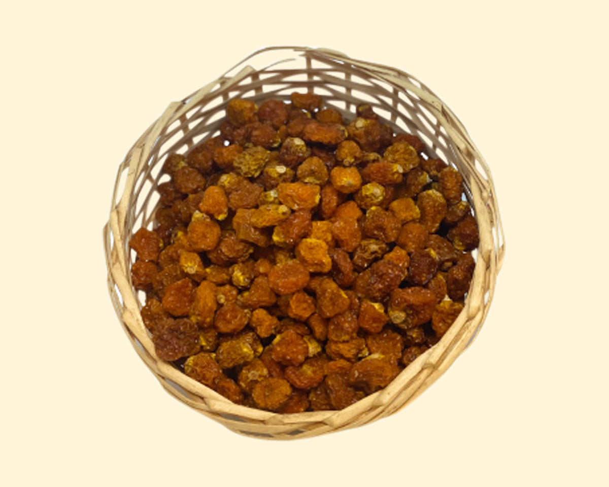 Physalis