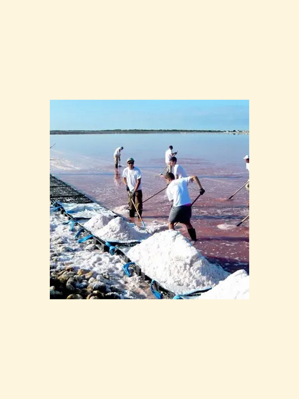 Fleur De Sel från Camargue