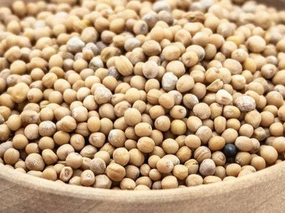 Gula senapsfrön 50ml