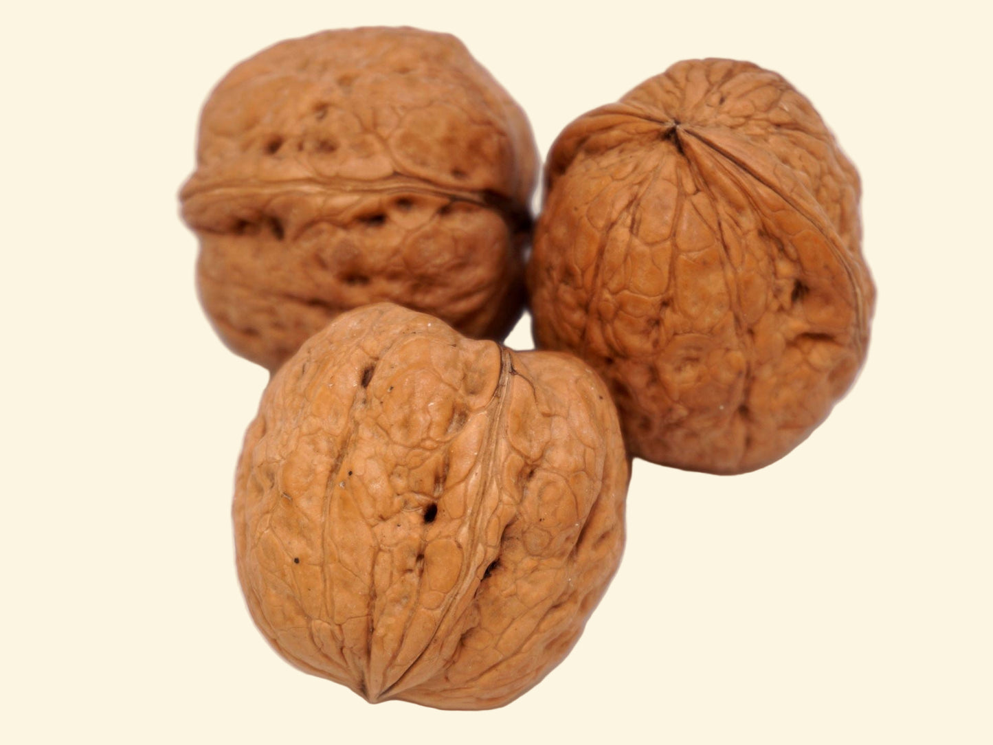 Valnötter från Grenoble 34 mm+